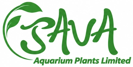 Java aquarium LTD Online