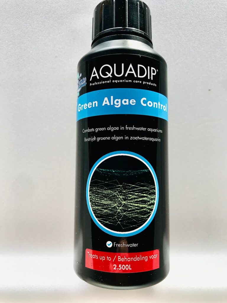 Green Algae Control In Aquariums With Co2, Circulation, And Plants