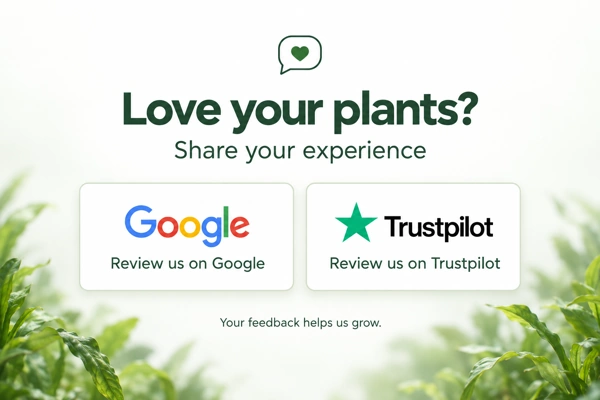Review Java Plants.
